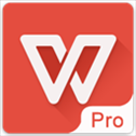 WPS Office Pro央企定制版